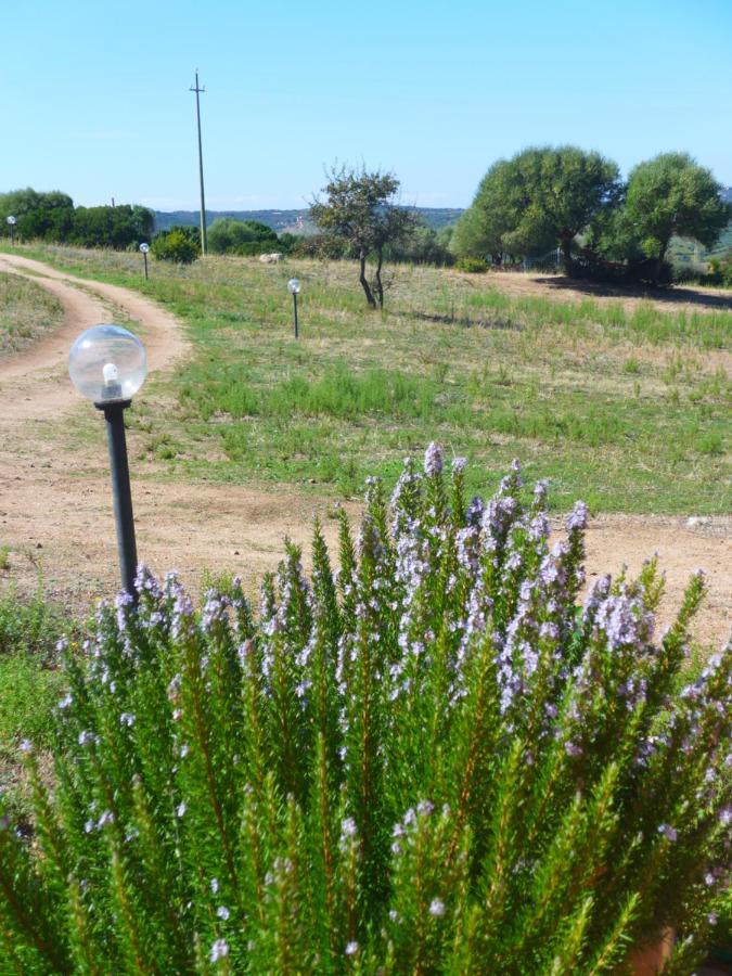 Agriturismo Gli Olivastri, Appartamento La Rosa Dei Venti Con Piscina E Solarium , Vista Mare ,Climatizzatore ,Wifi Aglientu Exteriör bild
