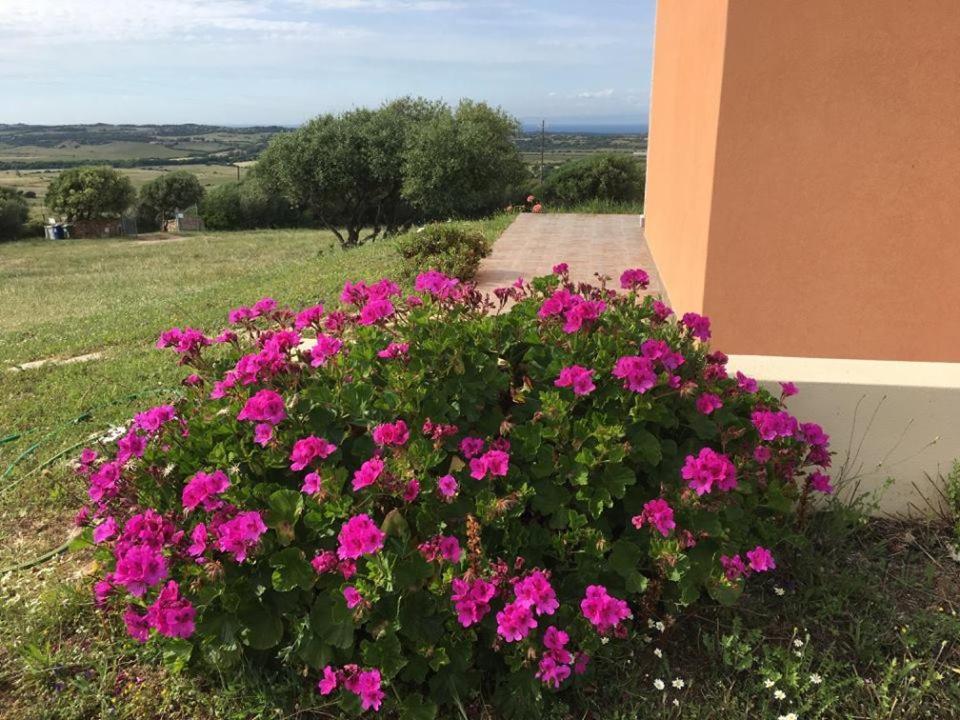 Agriturismo Gli Olivastri, Appartamento La Rosa Dei Venti Con Piscina E Solarium , Vista Mare ,Climatizzatore ,Wifi Aglientu Exteriör bild
