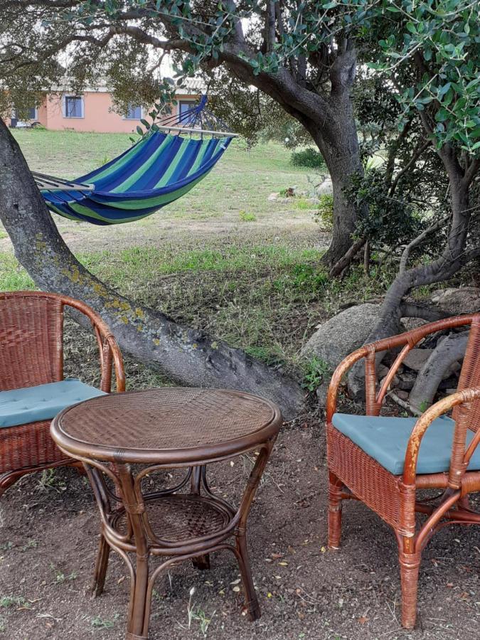 Agriturismo Gli Olivastri, Appartamento La Rosa Dei Venti Con Piscina E Solarium , Vista Mare ,Climatizzatore ,Wifi Aglientu Exteriör bild